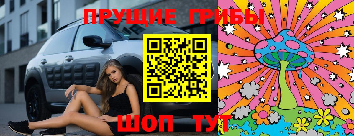 сколько стоит  Темрюк  Псилоцибиновые грибы GOLDEN TEACHER 